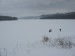IMG_8208.jpg
