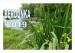Berounka 2019